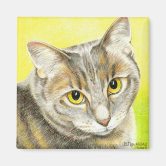 Mirar el imán del amor