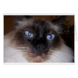 Mire fijamente en mis ojos