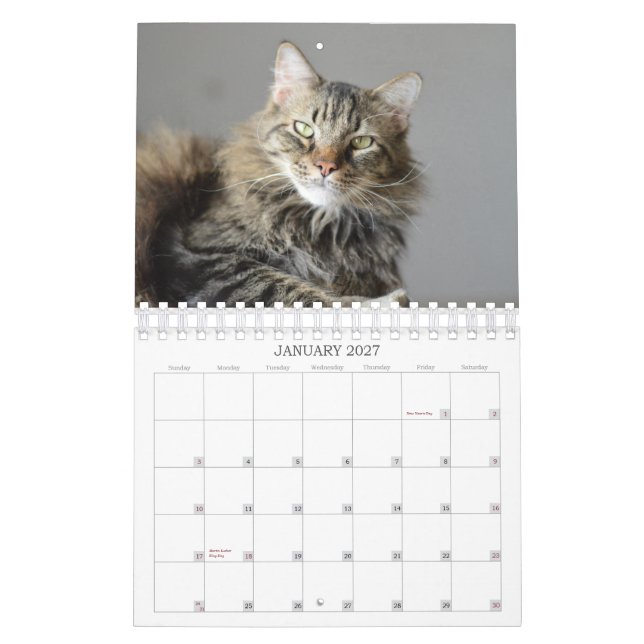 Mire lo que trajo el gato en calendario del (Jan 2027)