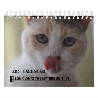 Mire lo que trajo el gato en calendario del