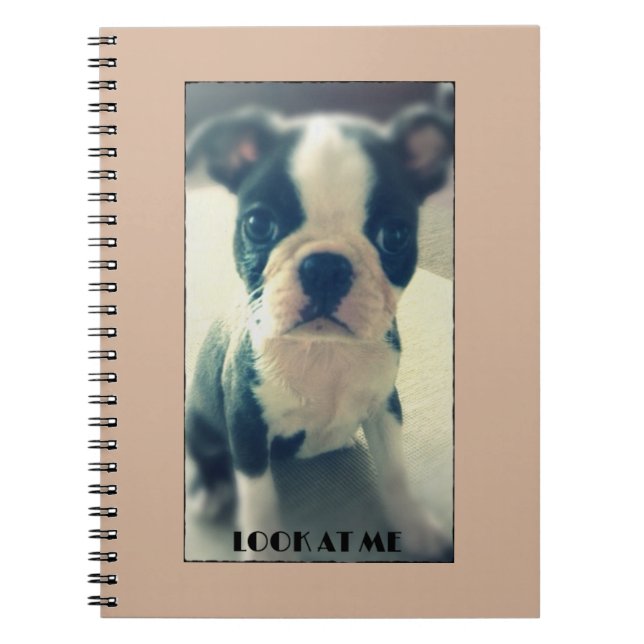 Míreme cuaderno lindo del perro (Frente)