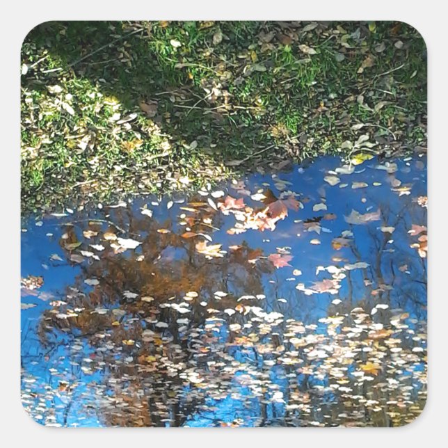 Miroir Mirror Pegatina del Día de Acción de Gracia (Anverso)