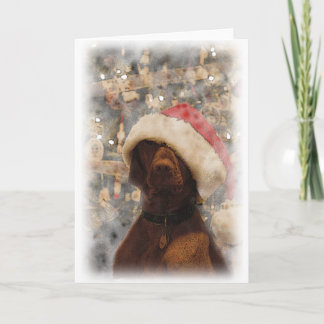 Mis Felices Navidad Vizsla