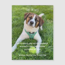 Mis Humanos Se Van a Casar Foto Guarden la Fecha