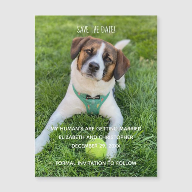 Mis Humanos Se Van a Casar Foto Guarden la Fecha (Anverso)