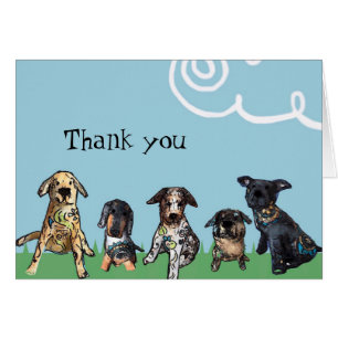 Mis mascotas le agradecen observar