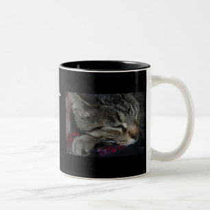 ¡Mis niños todos tienen patas! Taza del gato