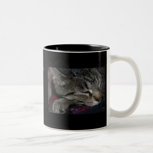 ¡Mis niños todos tienen patas! Taza del gato (Derecha)