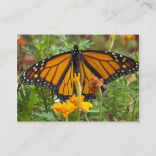 Mis tarjetas de negocios de la mariposa monarca