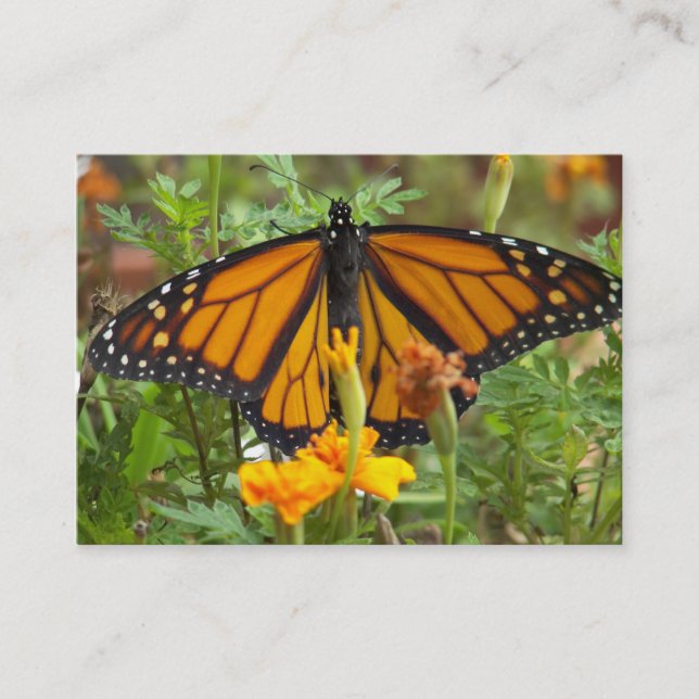 Mis tarjetas de negocios de la mariposa monarca (Anverso)