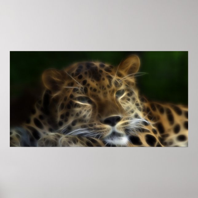 Mis últimos días en la Tierra... Arte (Frente)