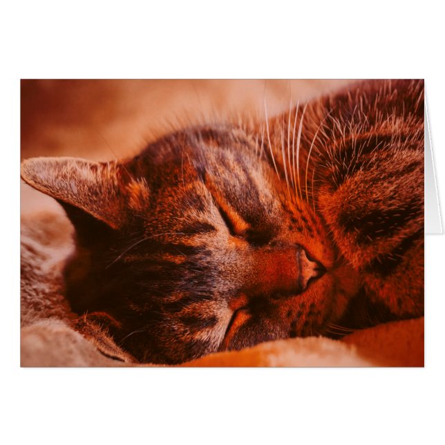 Mischief Free (Anverso (Horizontal))