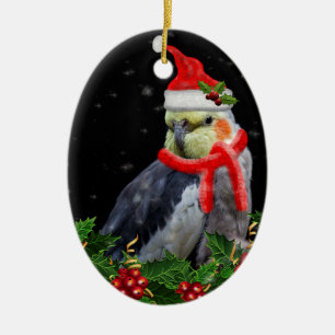 Mismo un ornamento del navidad de la baya