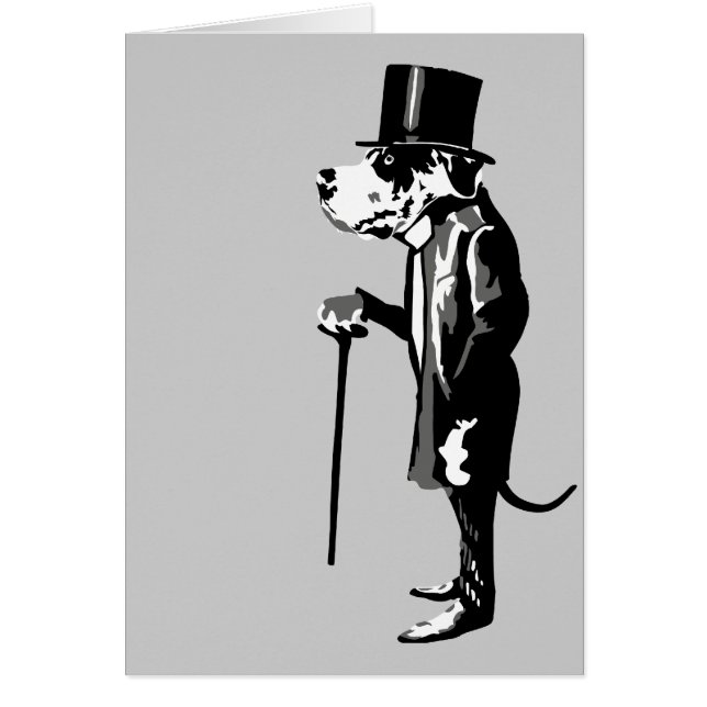 Mister Dane (Frente)