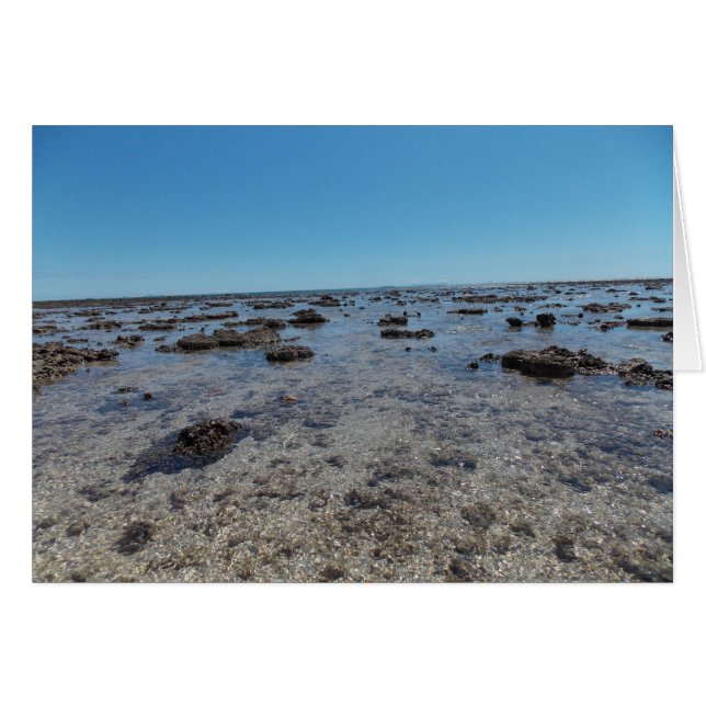 Místico (Anverso (Horizontal))