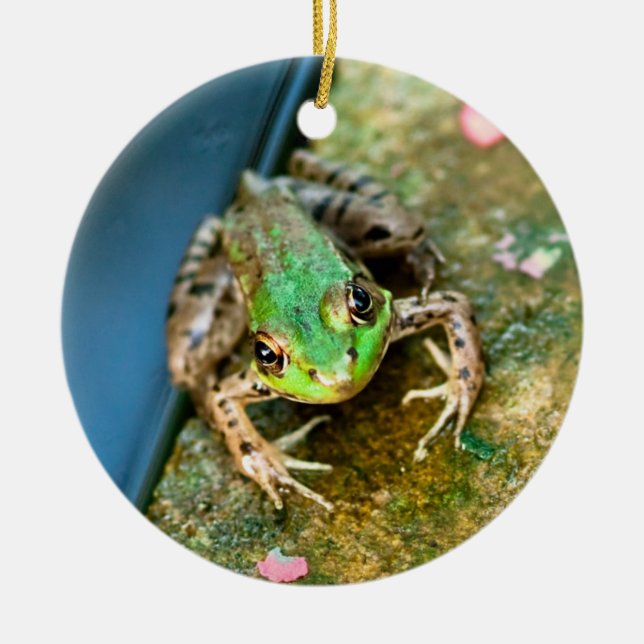 Mistletoad - ornamento de cerámica redondo del (Frente)