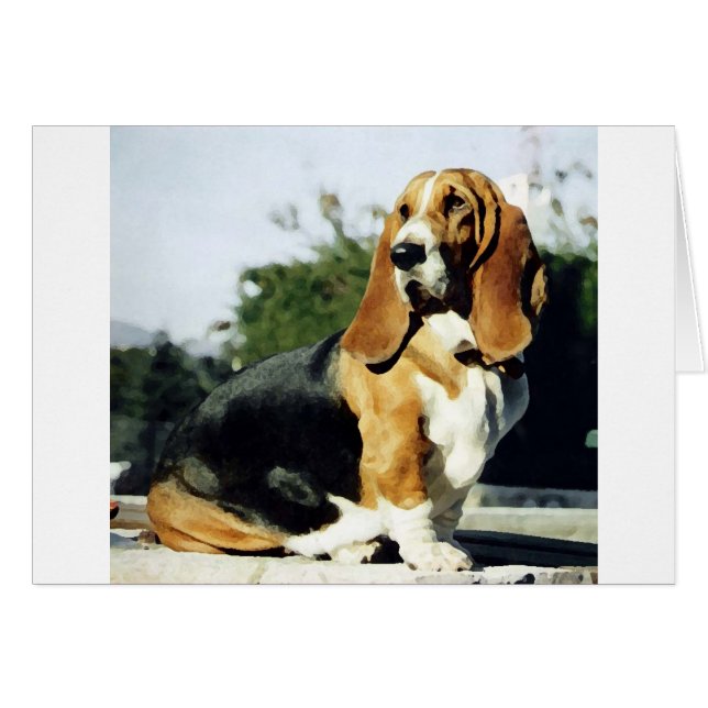 Misty (Anverso (Horizontal))