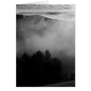 Misty Pines