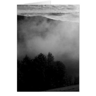 Misty Pines
