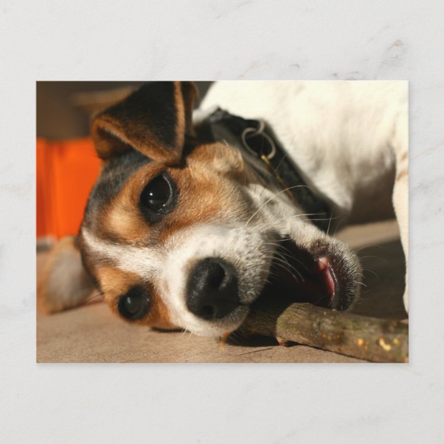 Misty - Tarjeta postal tipo palillo de mascar (Anverso)