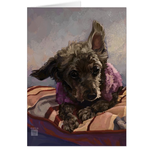 Misty the Poodle (Frente)