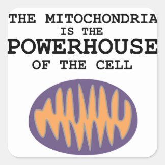 Mitochondria es la casa poderosa - Pegatina