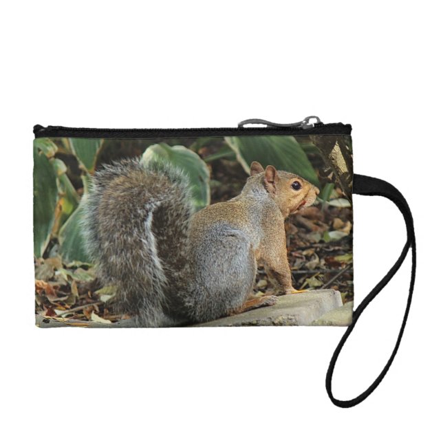 Mitón - llave o bolso de la moneda (Frente)