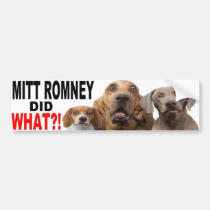 ¡MITT ROMNEY HIZO LO QUE?! Perro en PEGATINA PARA