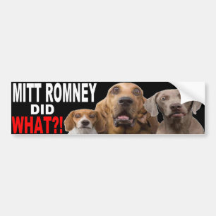 ¡MITT ROMNEY HIZO LO QUE?! Perro en PEGATINA PARA