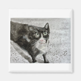 Mitten el gatito en el imán