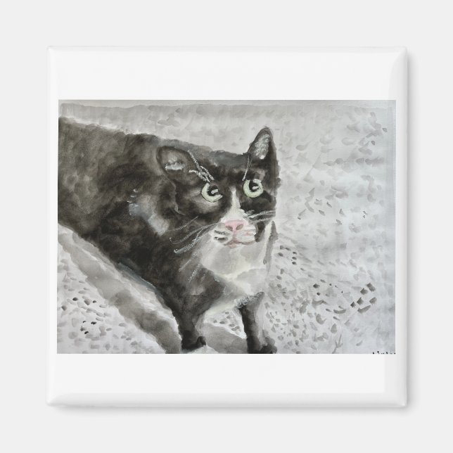 Mitten el gatito en el imán (Frente)