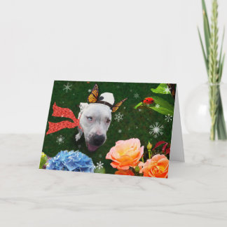 Mitzy la Mariposa, tarjeta de felicitación de feri