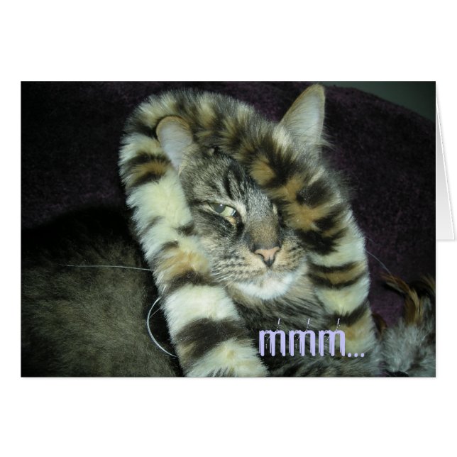 ¡mmm… hace esto hace que parece gordo?! # (Anverso (Horizontal))