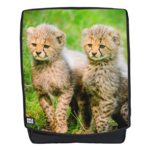 Mochila Cachorros de Guepardo