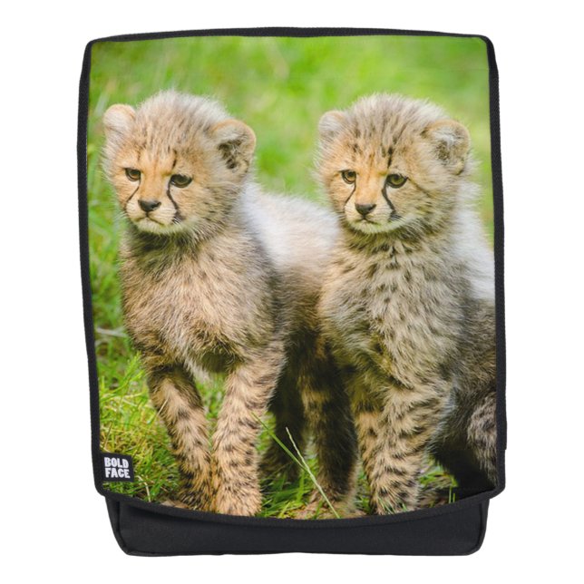 Mochila Cachorros de Guepardo (Anverso)