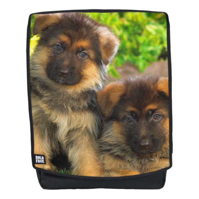 Mochila Cachorros de Pastor Alemán (Anverso)
