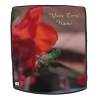 Colibrí verde sobre la capa de flores. Cara de moc