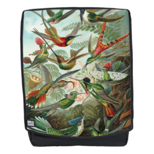 Mochila Colibríes de Ernst Haeckel - Formas artísticas de 