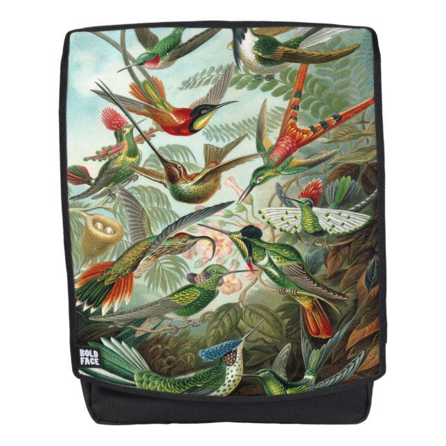 Mochila Colibríes de Ernst Haeckel - Formas artísticas de  (Anverso)