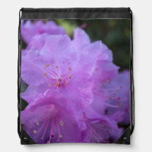 elegantes, bonitas flores de azalea púrpura de pri
