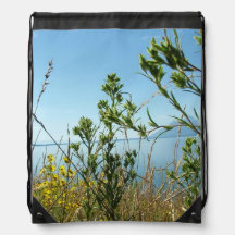 Plantas silvestres y flores en Grand Teton Nationa