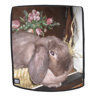 Mochila Conejito de pascua en una cesta