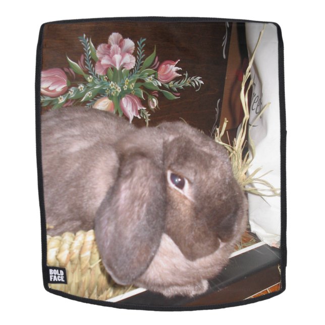 Mochila Conejito de pascua en una cesta (Cara extraíble)