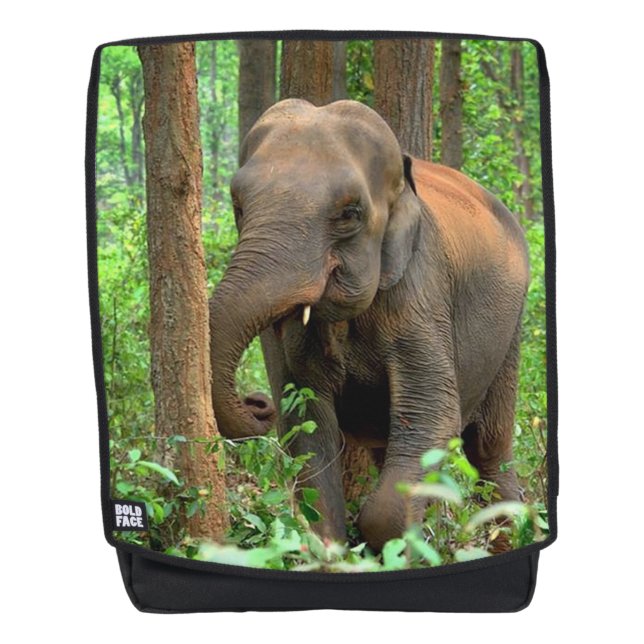 Mochila Elefante Bebé (Anverso)