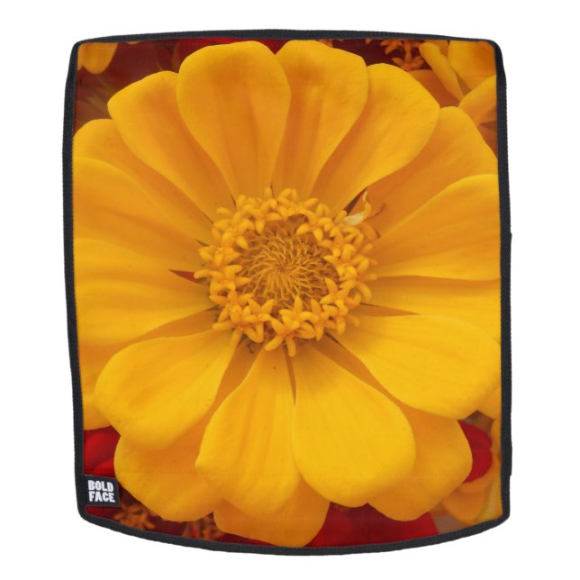 Mochila Emmeline (Cara extraíble)