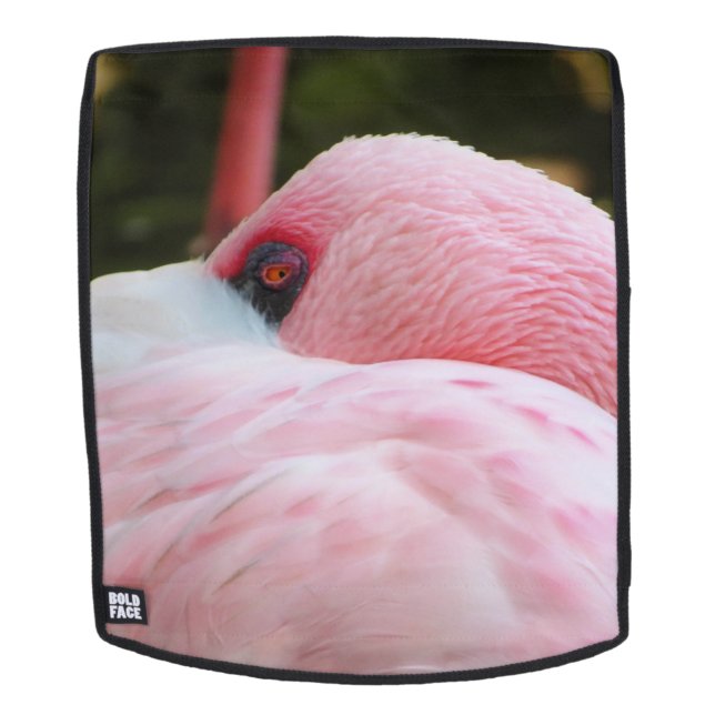 Mochila Flamingo (Cara extraíble)
