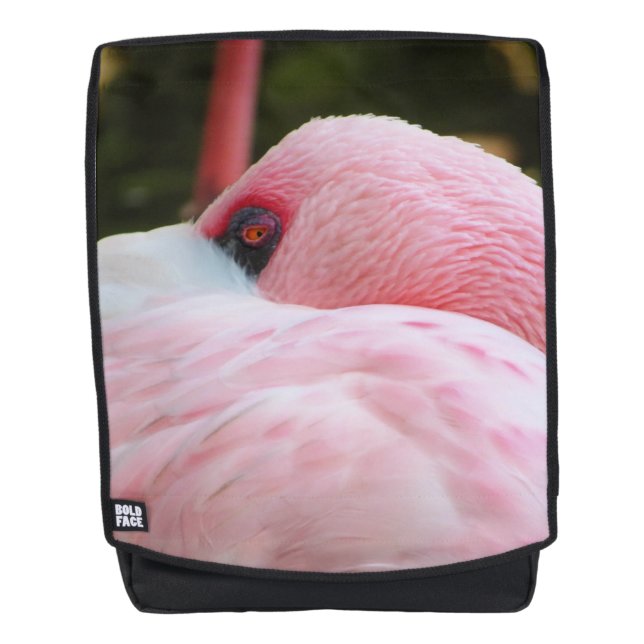 Mochila Flamingo (Anverso)