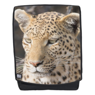 Mochila Fotografía de Leopard