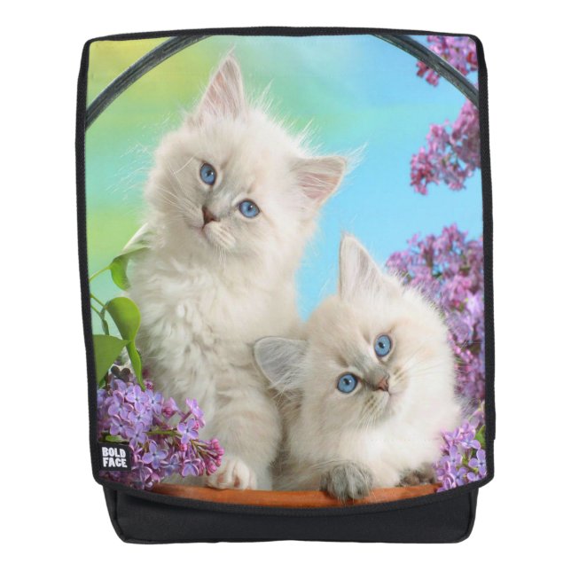 Mochila Gatitos (Anverso)