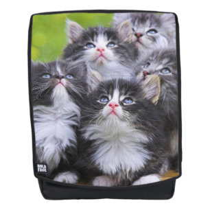 Mochila Gatitos